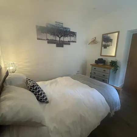 Forest Edge, Wykeham Forest *