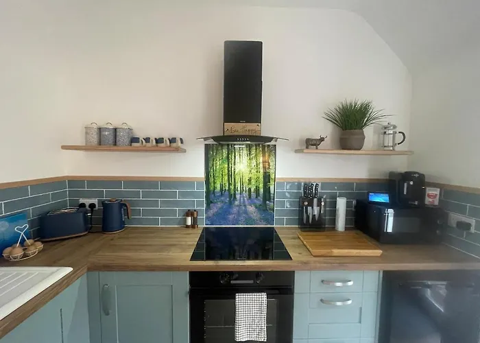 Forest Edge, Wykeham Forest