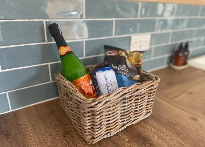 Forest Edge, Wykeham Forest *