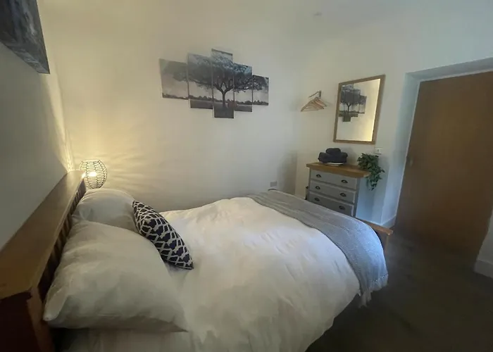 Forest Edge, Wykeham Forest *