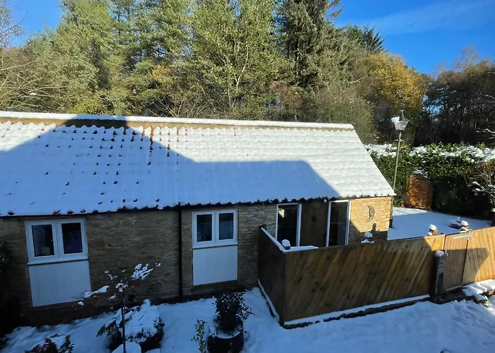 Forest Edge, Wykeham Forest 別荘 *